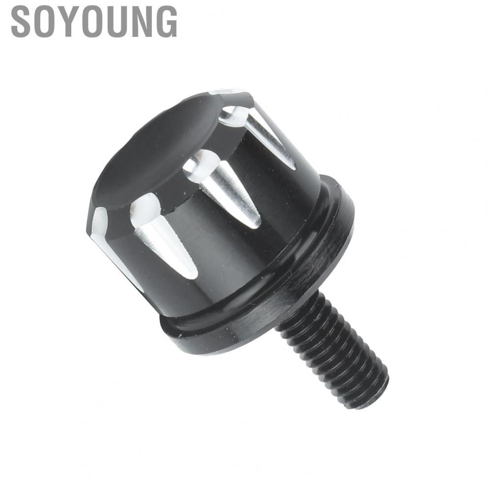 Soyoung Motorcycle Seat Mount Bolts Screw with 1/4in-20 Thread Fit for Iron 883/Forty Eight/Roadster