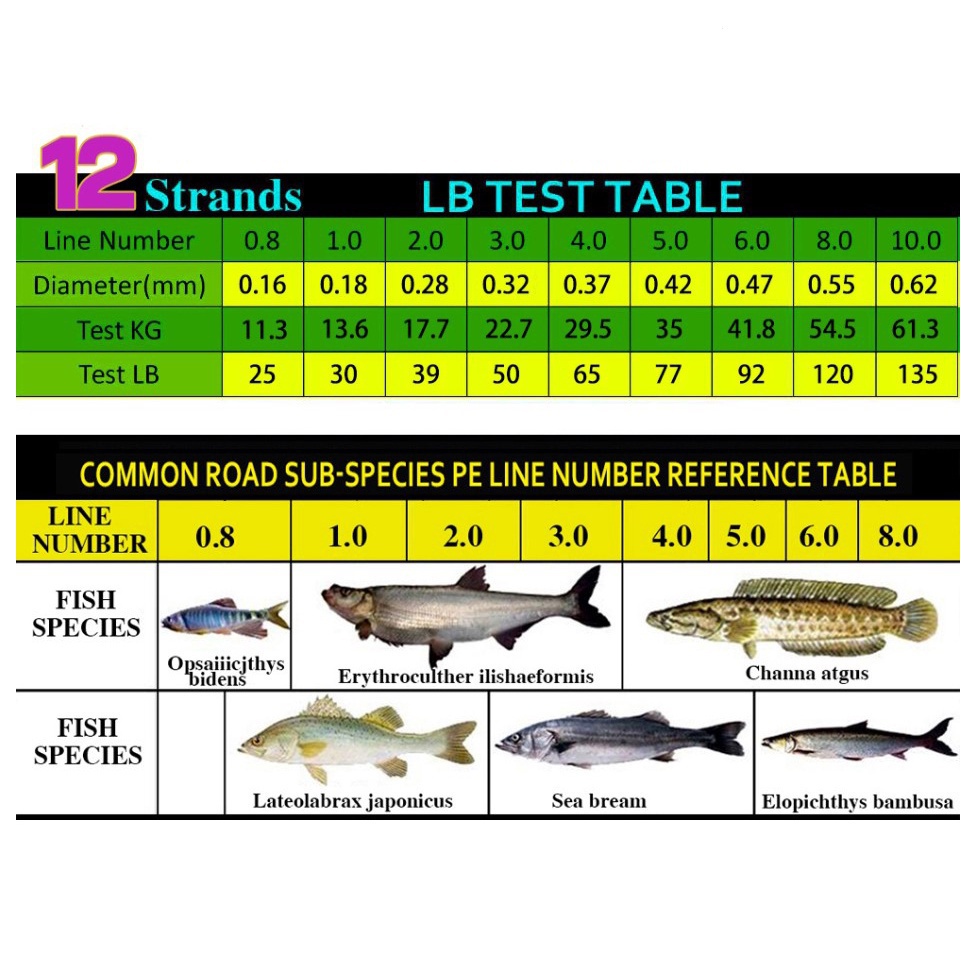 Cuộn Dây Câu Cá Bện PE Siêu Chắc 300m 500m 1000m 12 Sợi