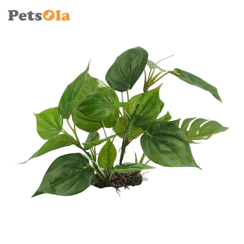 [Koolsoo21] Thực Vật Ẩn Đường Đi Trang Trí Bể Cá