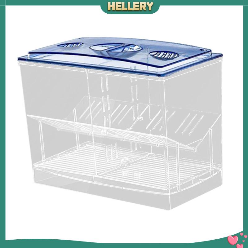 Hộp Nuôi Cá Dễ Sử Dụng Cho Văn Phòng Guppy Betta