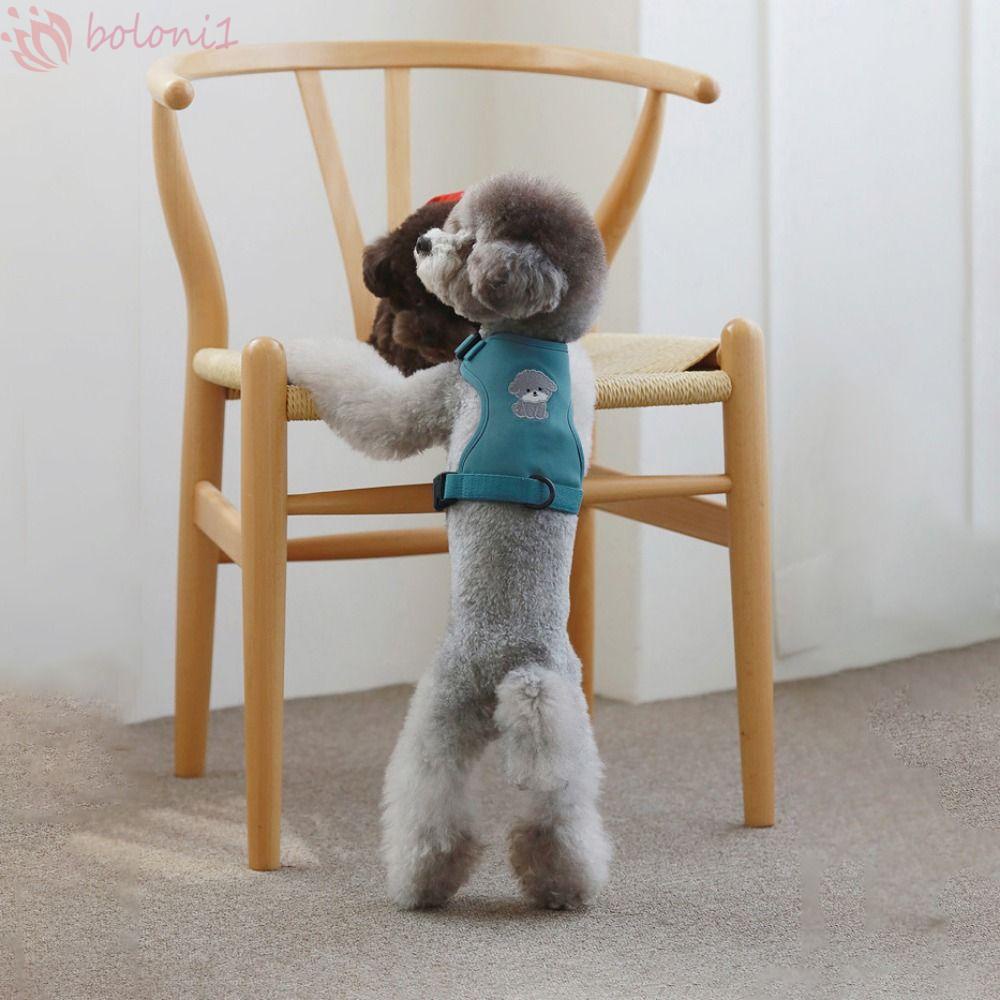 [COD] Dây Dắt Thú Cưng Đi Dạo Chống Lạc Họa Tiết Hoạt Hình Dễ Điều Chỉnh Thời Trang 2023