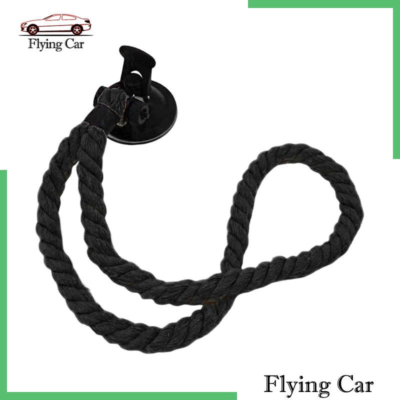 Giá Đỡ Mũ Cao Bồi Có Giác Hút Đa Năng Thông Dụng Cho Xe SUV RV