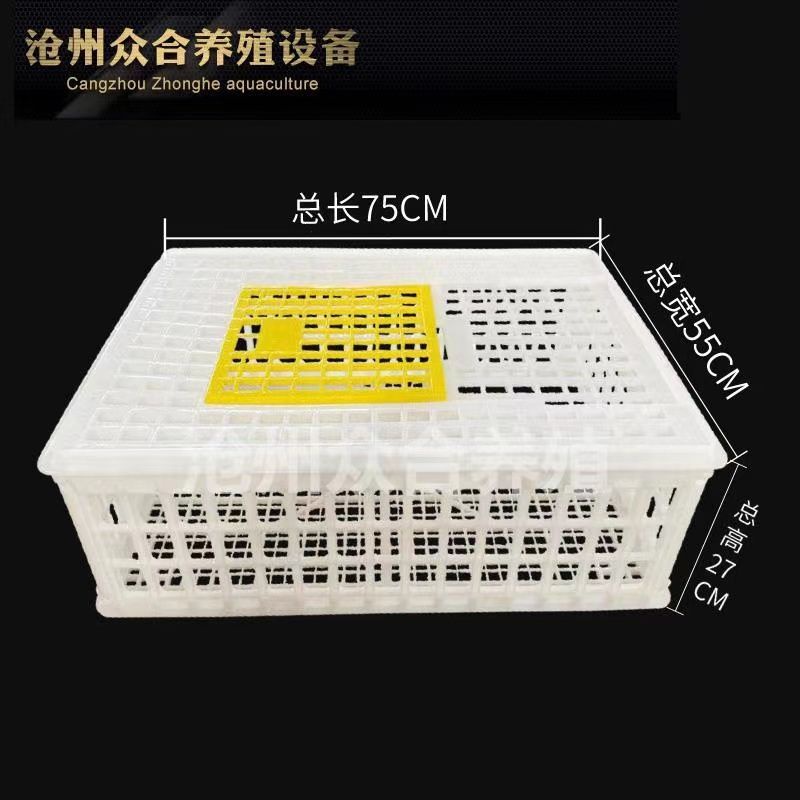 Giỏ vận chuyển gia cầm, giỏ doanh thu Giỏ nhựa, giỏ gà, chuồng gà, hộp gà, lồng Pigoen/hộp xoay khun