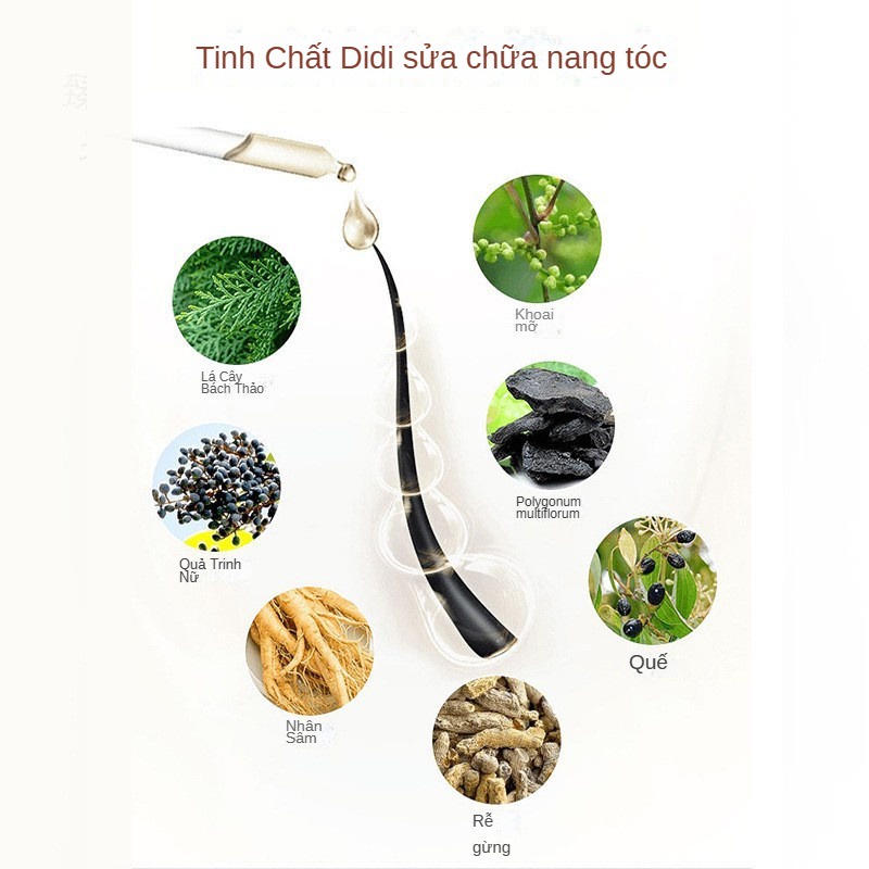 Tinh Dầu Chăm Sóc Tóc Chiết Xuất Gừng 30ml Sửa chữa chăm sóc tóc khô và xoăn