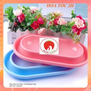 [ Bán sỉ ] BÁT ĂN CHO CHÓ MÈO BÁT ĐÔI CHỐNG KIẾN