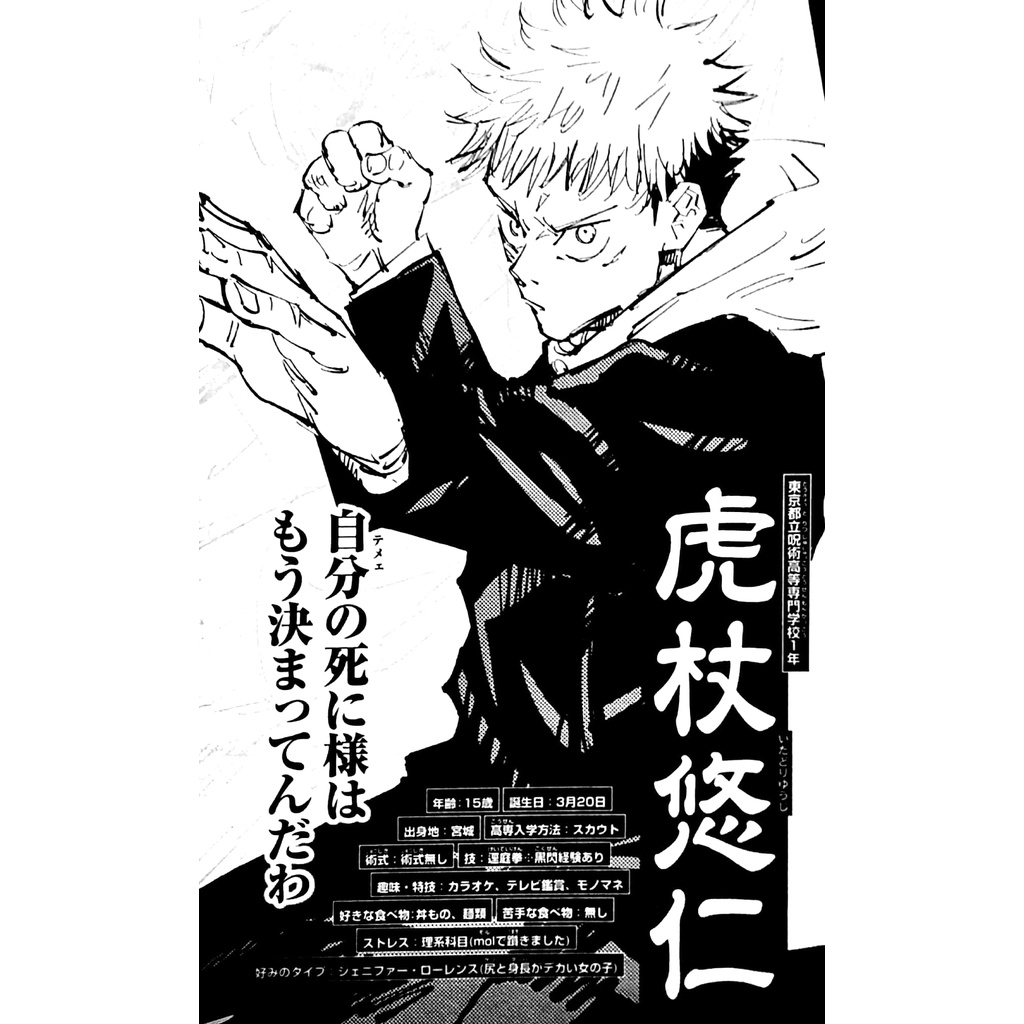 Jujutsu Kaisen Official Fan Book