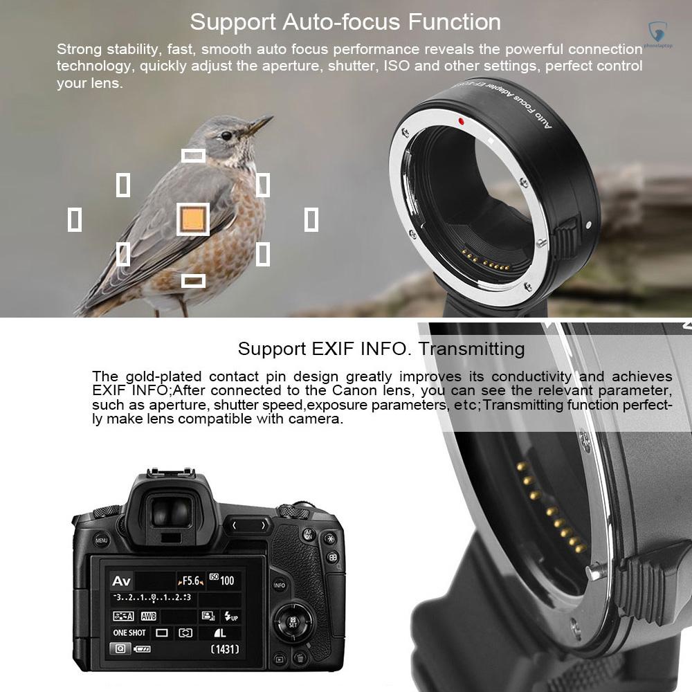 Ngàm Chuyển Đổi Ống Kính Máy Ảnh EF / EF-S Sang EOS R RF-Mount