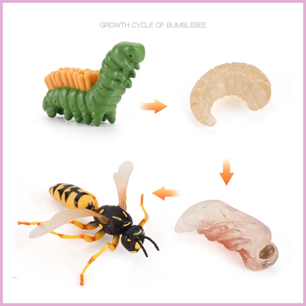 Set 12 Tượng Côn Trùng Đồ Chơi Cho Bé