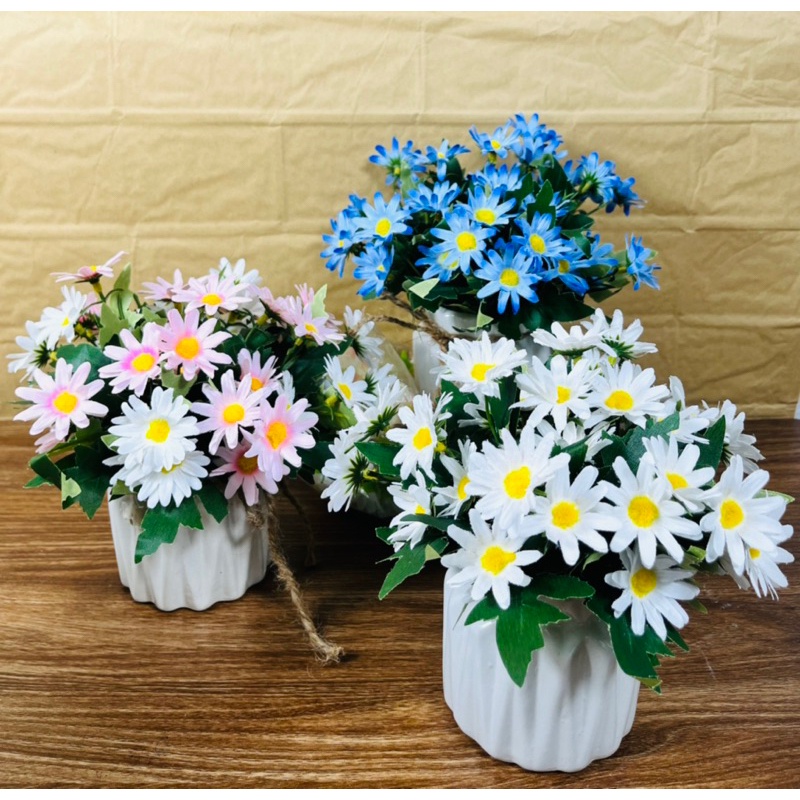 Chậu cây giả-cúc hoạ mi để bàn siêu xinh