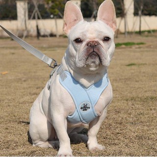 Dog Traction Rope Vest-Style Dog Leash Jarre Aero Bull Shiba Inu Bullfight Small and Medium-Sized Dogs Pet Supplies Chest Strap JyqF