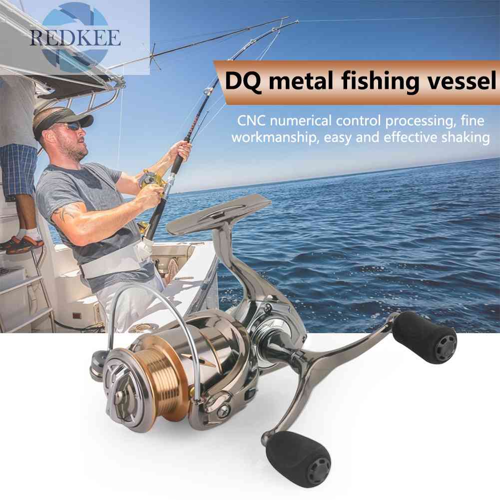 Máy Câu Cá 4 + 1 Bi Chuyên Nghiệp