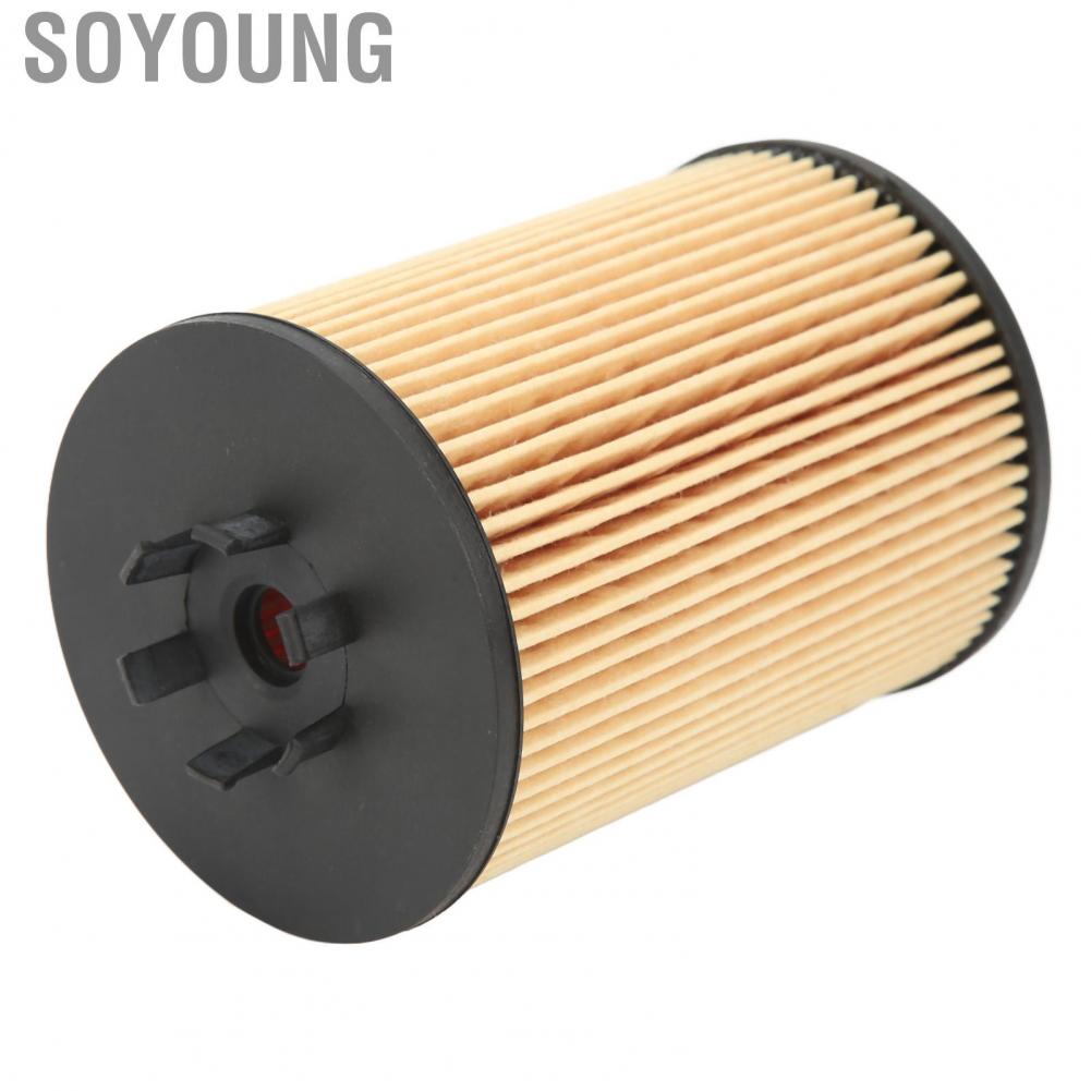 Soyoung 11427511161  Stable Performance Clean Impurities Engine Oil Filter Easy To Install for E53 E60 E63 E65 E66