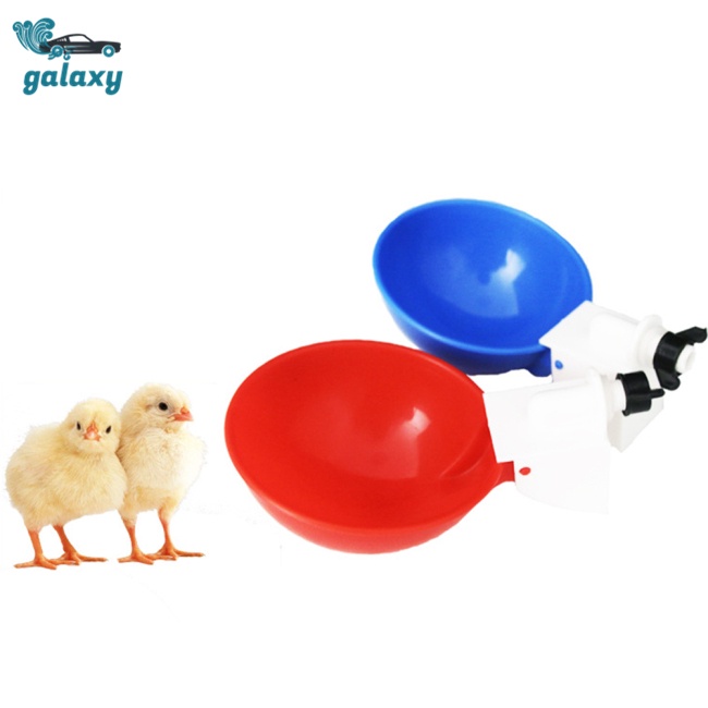 Galaxy Cốc Uống Nước Tự Động Cho Gà / Chim Bồ Câu