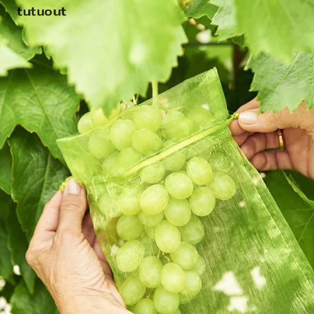 Bộ 50 Túi Lưới Dây Rút Bảo Vệ Cây Trồng Chống Côn Trùng