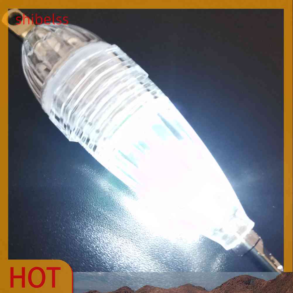 Đèn Mồi Dụ Cá Dưới Nước, Chạy Bằng Pin, Hình Con Mực