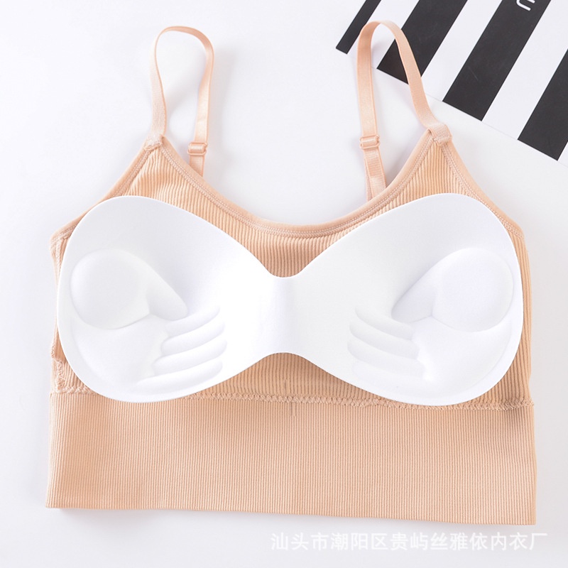 Áo Ngực Thể Thao Không Đường May Có Đệm Nâng Ngực Chống Lóa Lưng Đẹp Mắt Không Gọng Thép Dành Cho Bạn Nữ