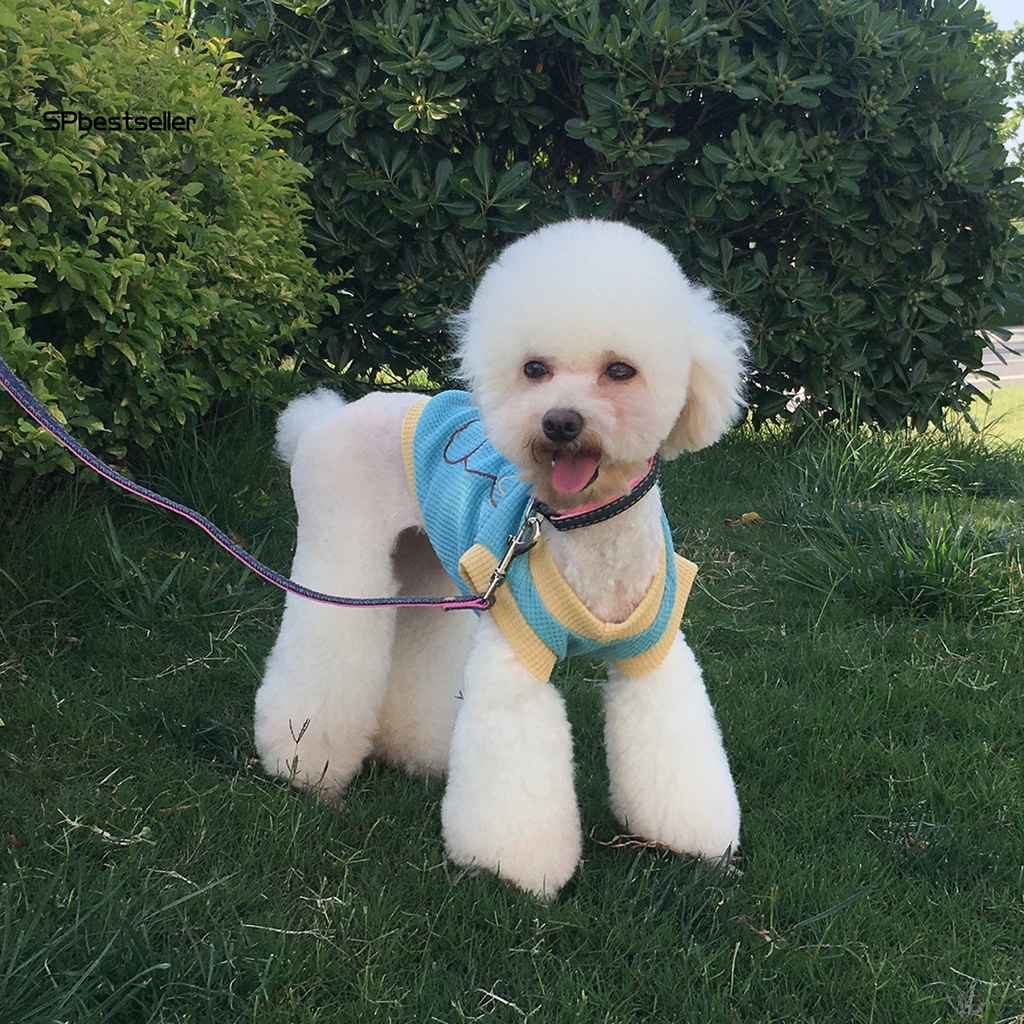 Bộ Đồ Ngủ Sát Nách Mỏng Thoáng Khí In Họa Tiết Gấu Màu Tương Phản Cho Thú Cưng