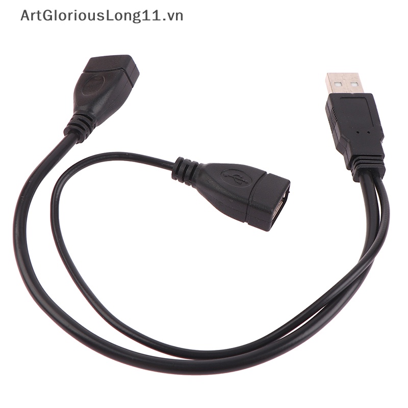 1 Dây Nối Dài Chuyển Đổi Cổng Cắm 15 / 30cm Sang 2 Ổ Cắm USB 2.0 Chuyên Dụng
