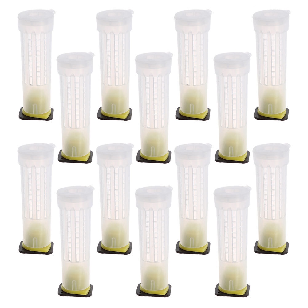 Set 20 Giá Đỡ Cốc Nuôi Ong Bằng Nhựa