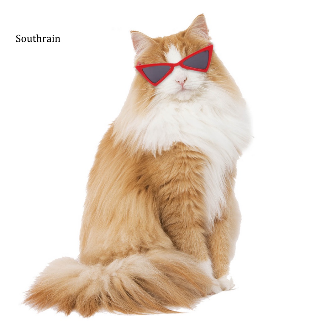 Kính Mát Di Động Trang Trí Hình Thú Cưng Phong Cách Sáng Tạo