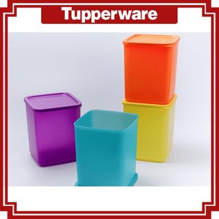 Bộ hộp bảo quản thực phẩm Large Summer Fresh Tupperware