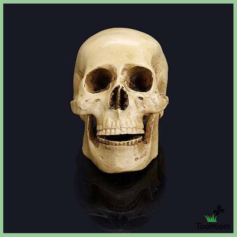 Mô Hình Đầu Lâu Phong Cách Gothic Trang Trí Nhà Cửa