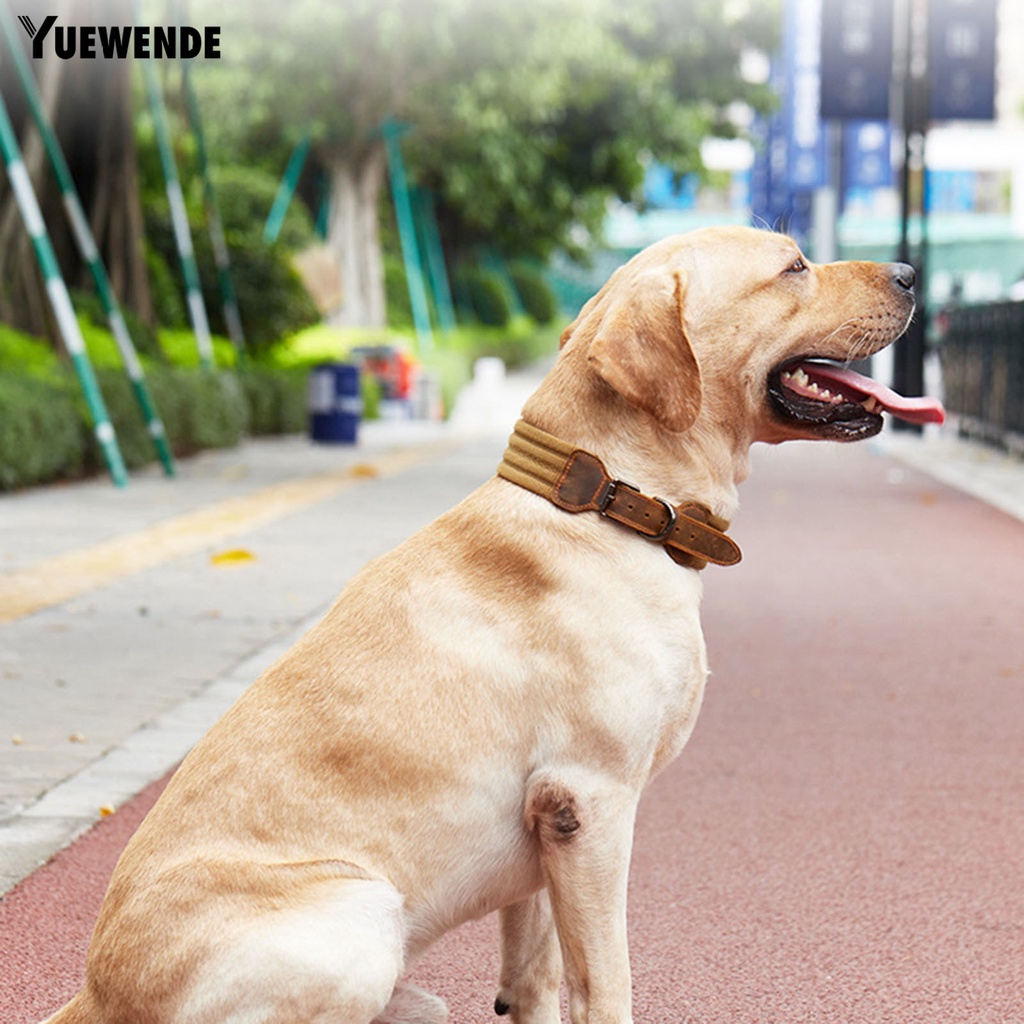 Vòng Cổ Giả Da Thoáng Khí Cho Thú Cưng