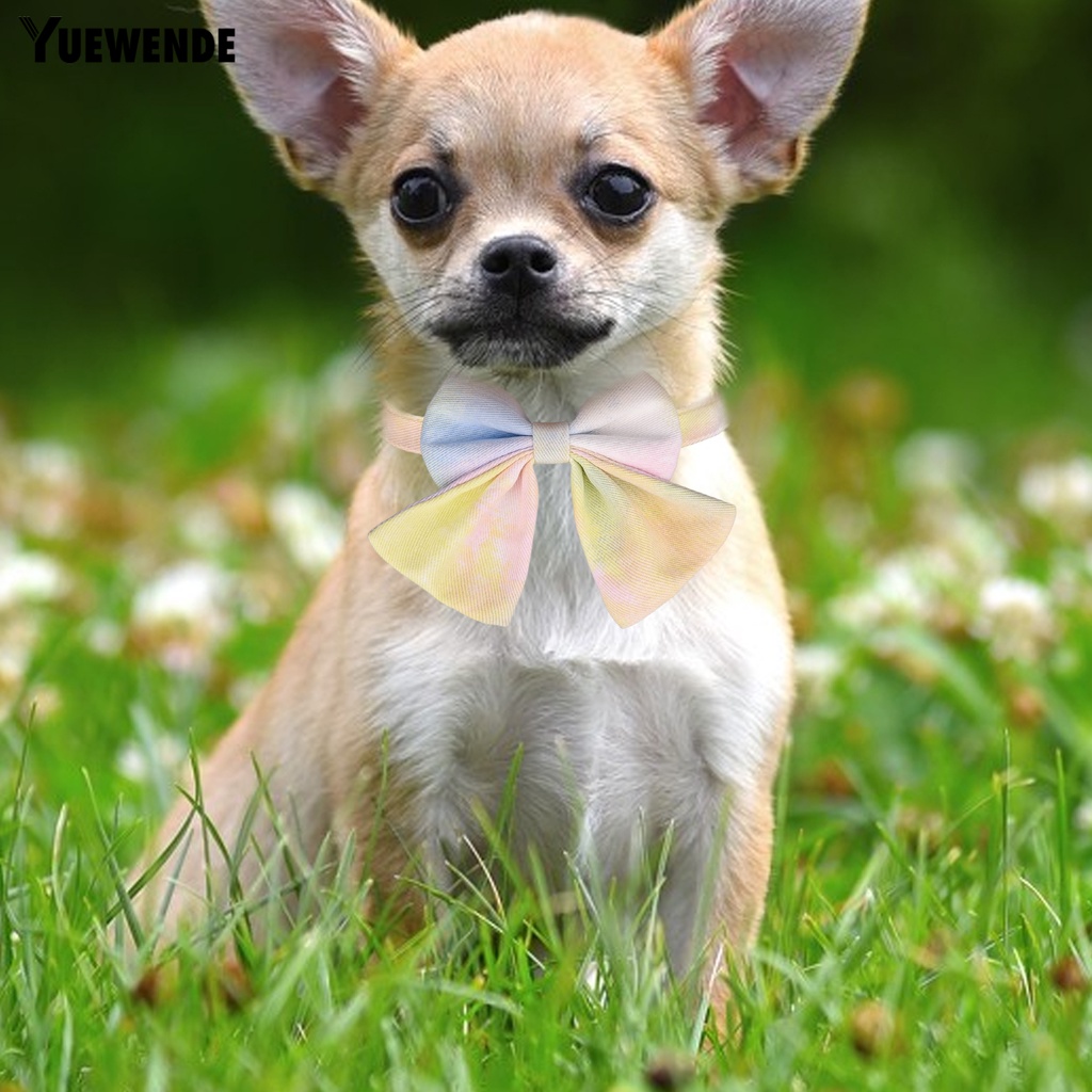 Yq.e Vòng Cổ Thắt Nơ Thoáng Khí Họa Tiết Ruy Băng Dễ Thương Dành Cho Thú Cưng