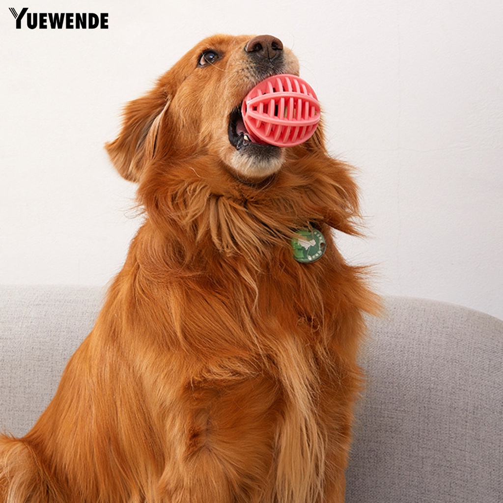 Đồ Chơi Bóng Gặm Chống Cắn Vui Nhộn Cho Thú Cưng