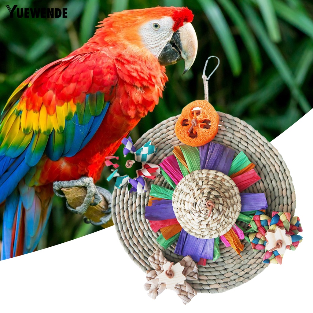 Đồ Chơi Treo Chống Trầy Xước Chống Mài Mòn Cho Chim Vẹt