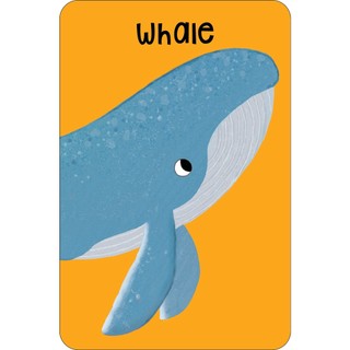 Sách Sea Snap! (Cards)