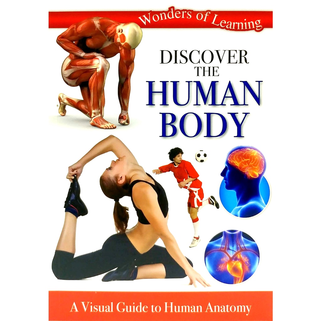 Tin Set - Discover The Human Body