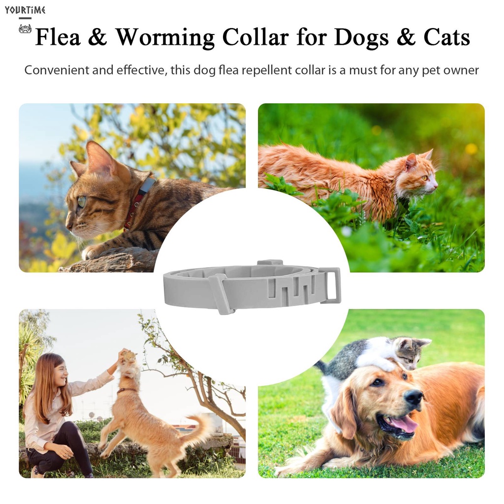 Vòng Cổ BằNg Silicone Cho Thú Cưng