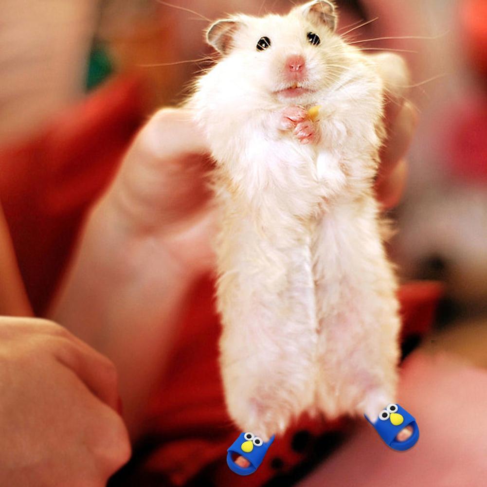 Giày Nhựa Hình Cá Mập Dễ Thương Cho Búp Bê Hamster N8O6