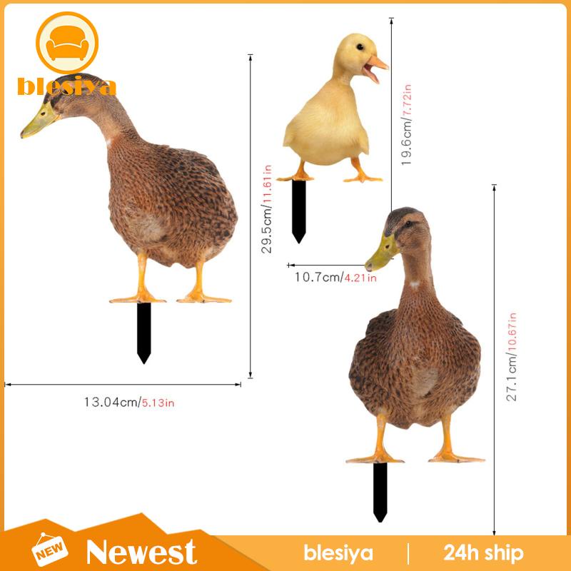 [Blesiya] Bộ 3 Bức Tượng Vịt Trang Trí Lối Đi Sân Vườn