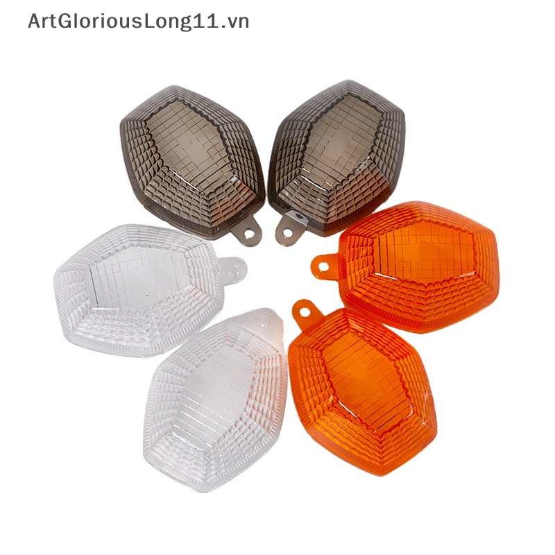 1 Cặp Ốp Đèn Tín Hiệu Rẽ Trong Suốt Dễ Lắp Đặt Cho DL650 V Strom