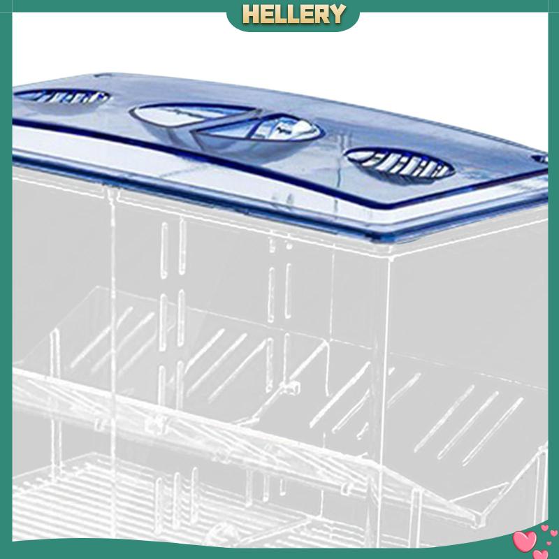 Hộp Nuôi Cá Dễ Sử Dụng Cho Văn Phòng Guppy Betta