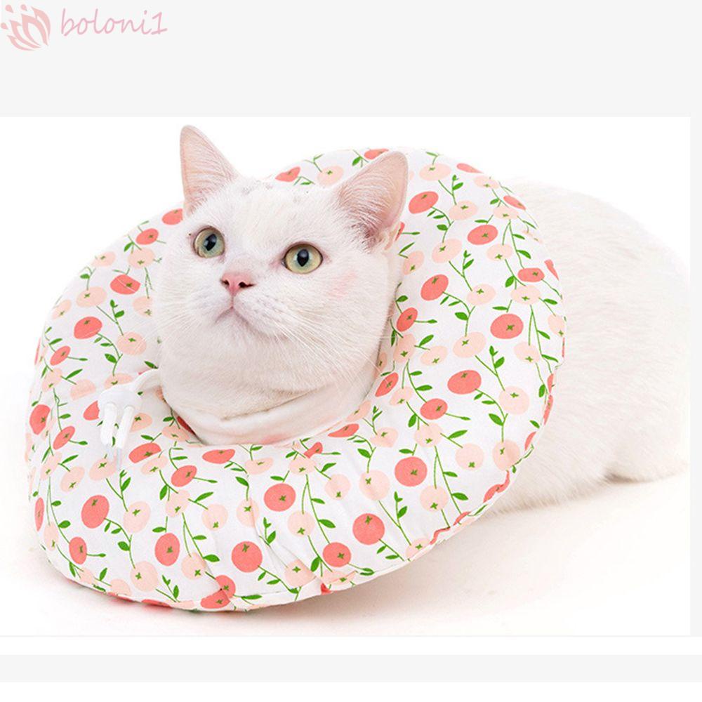 [COD] Vòng Đeo Cổ Chống Cắn Có Thể Điều Chỉnh Dành Cho Thú Cưng