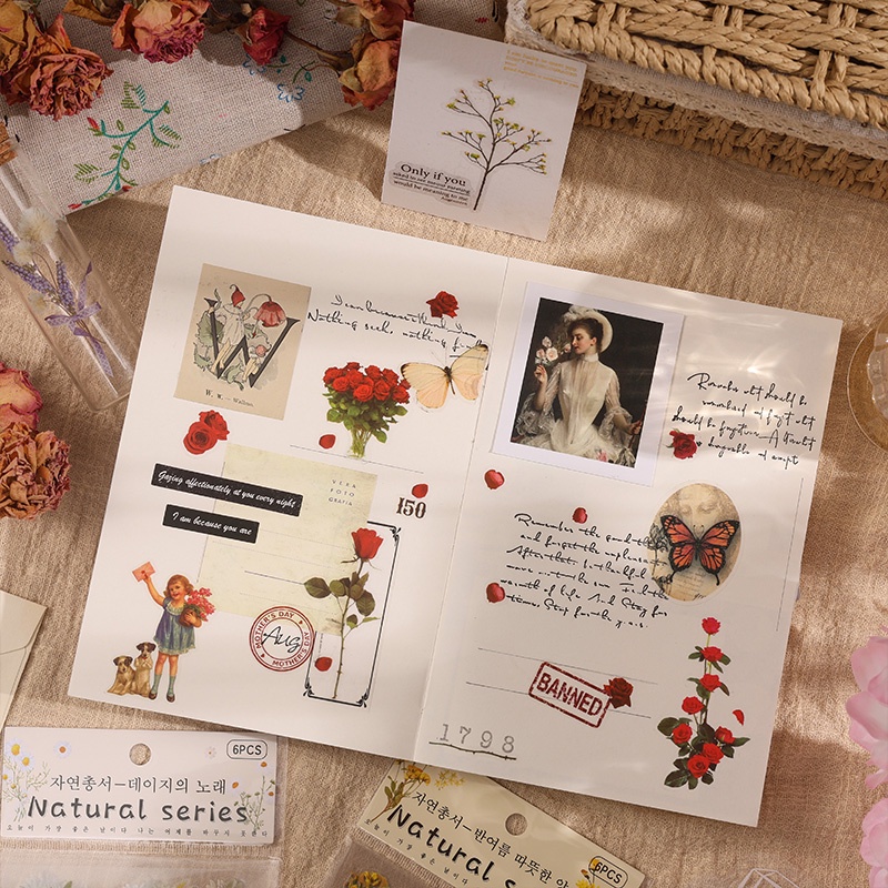 Bộ 6 Miếng Dán PET Kiểu Vintage Trang Trí Sổ Tay