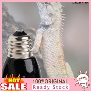 Heat bulb impact-resistant nhiệt hồng ngoại ceramic spiral heat brooder cho bò sát