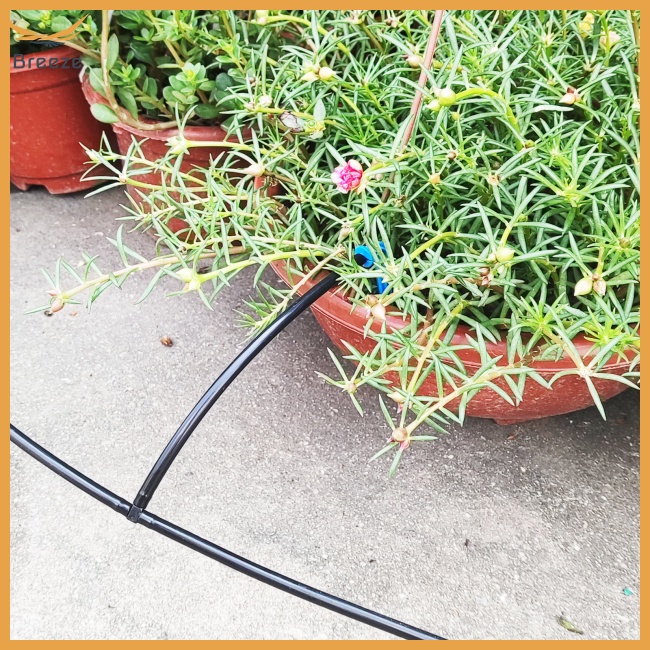 Hệ Thống Tưới Nước Tự Động Kèm Chức Năng Hẹn Giờ