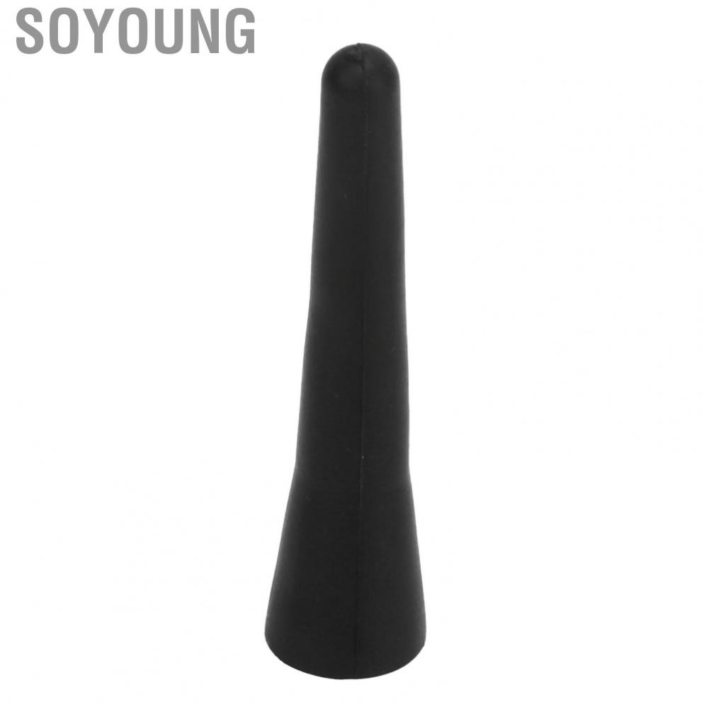 Soyoung Roof Mount Short  Size for Car