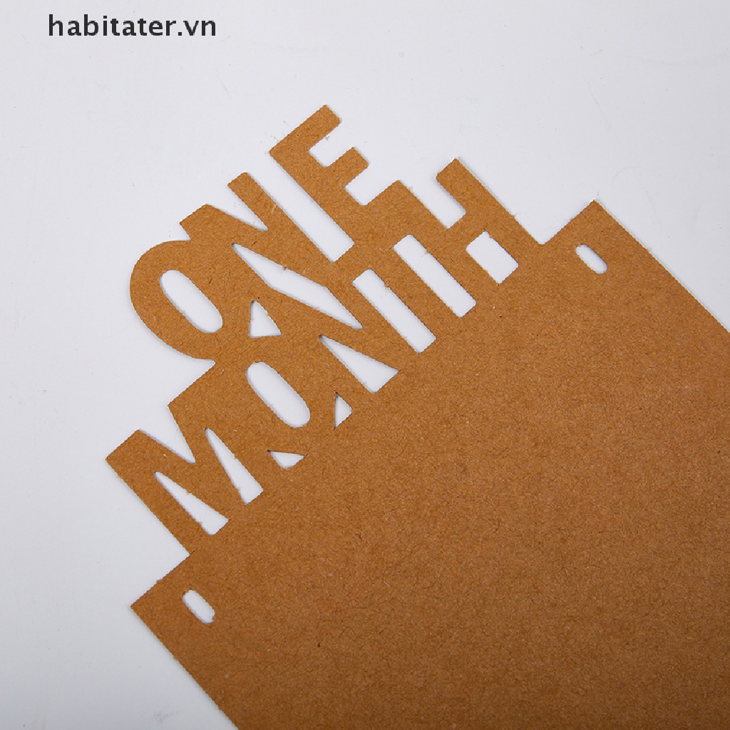 Dây Treo Ảnh 1 Tháng Tuổi 12 Dùng Trang Trí Tiệc Sinh Nhật Cho Bé