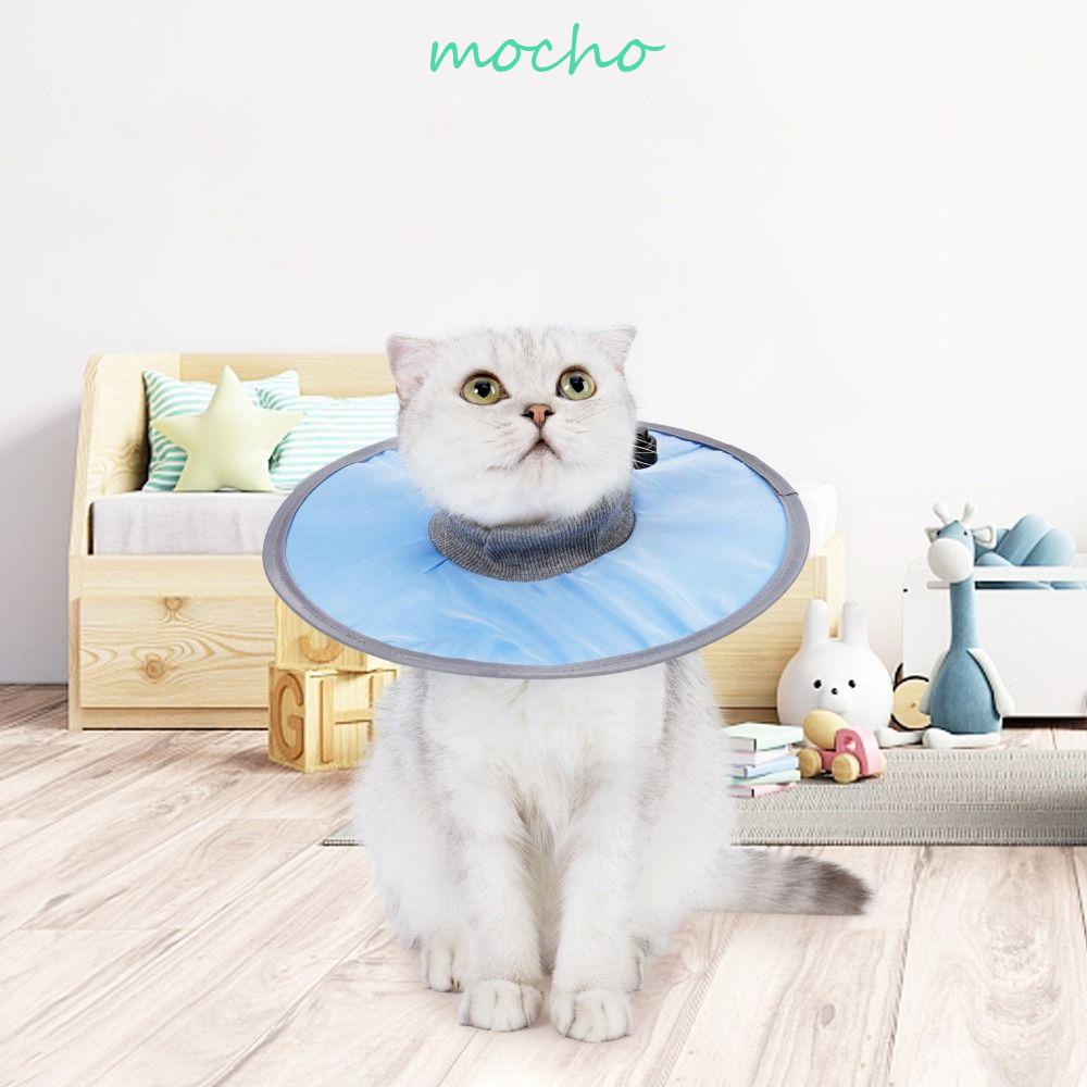 Vòng Cổ Bảo Vệ Chống Nước Chống Cắn Nhiều Màu Thoải Mái Tùy Chỉnh Cho Thú Cưng