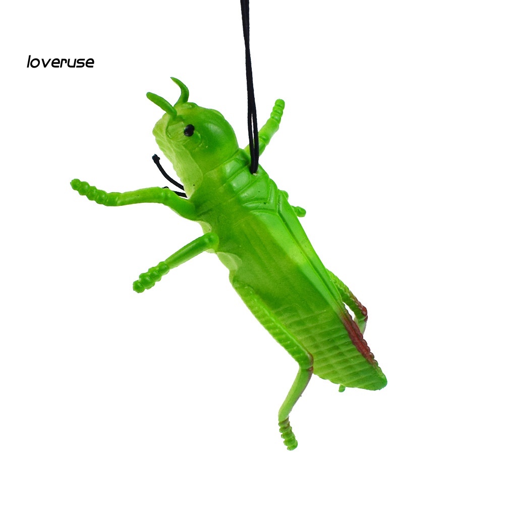 Set 10 Mô Hình Côn Trùng Mini Cho Bé