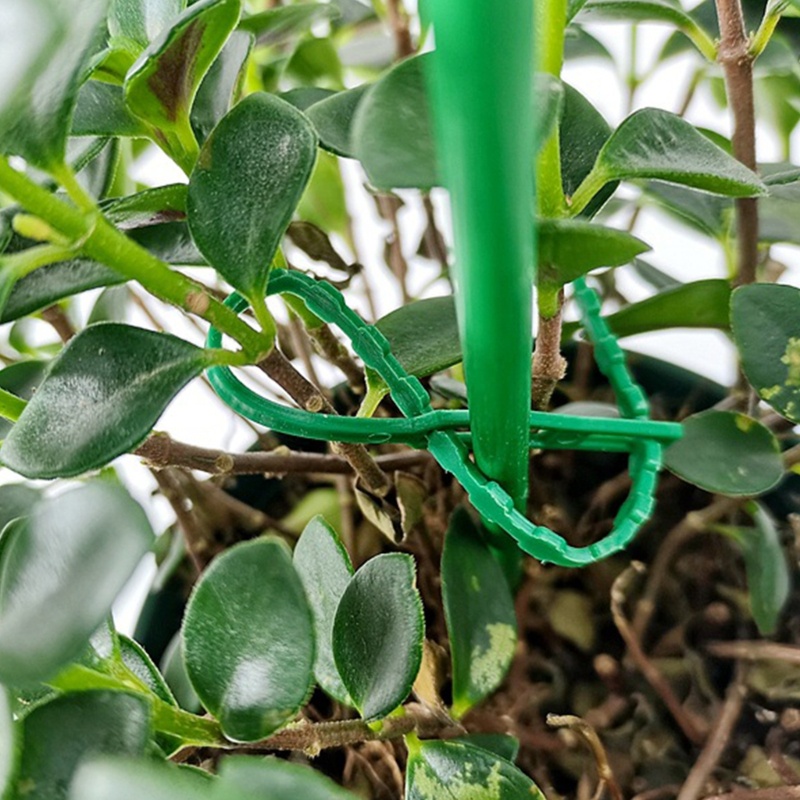 Set 50 Dây Rút Nhựa Linh Hoạt Đa Năng Có Thể Điều Chỉnh Cho Cây Trồng