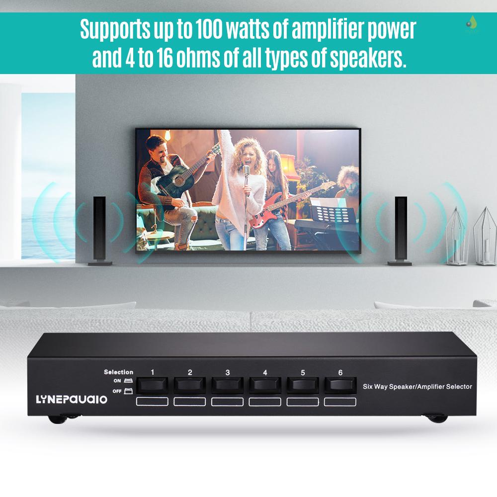 Bộ 6 Cặp Loa Âm Thanh Một Chiều Chuyên Dụng Lynepauario