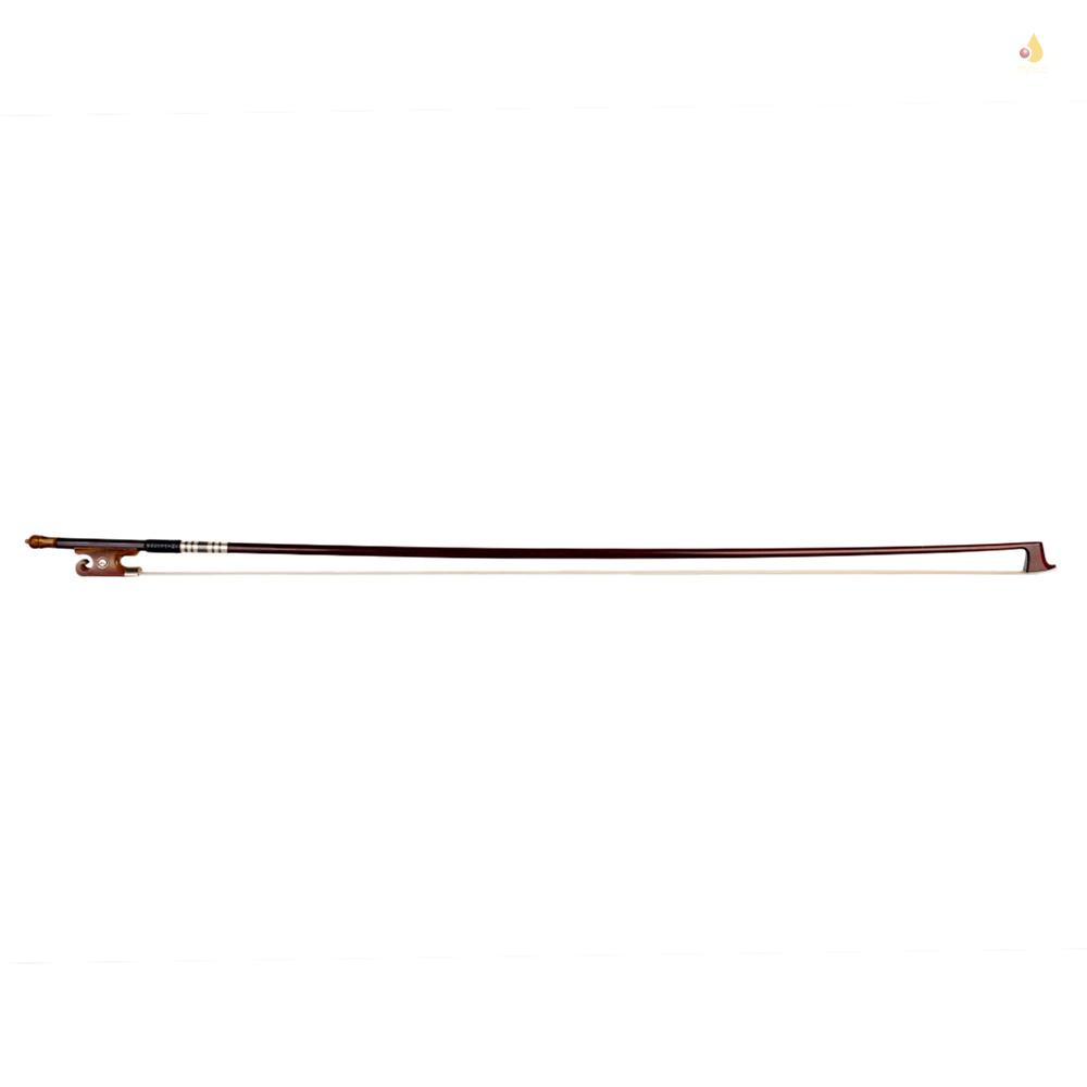 Cây Cảnh Vĩ Cầm Pernambuco Kích Thước 4 / 4 Đầy Đủ Kích Thước