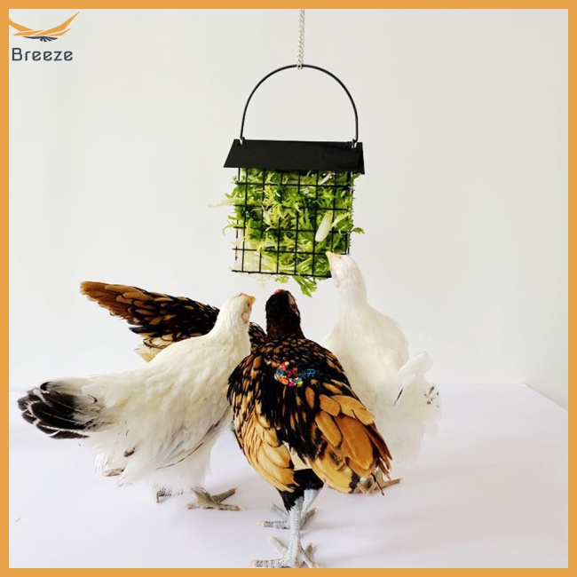 Rổ Đựng Thức Ăn Cho Gà / Rau Củ Quả Tiện Dụng