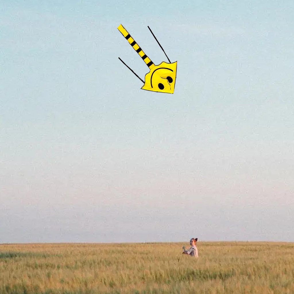 Diều Đồ Chơi 82 * 59cm D2D4 Hình Mặt Cười